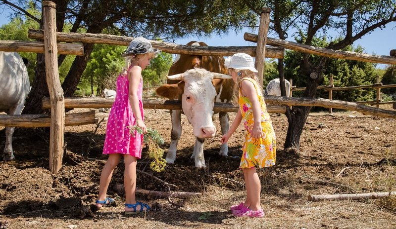 Πού μπορώ να κάνω παιδικό Πάρτυ γενεθλίων: Ιδέες για Χώρους